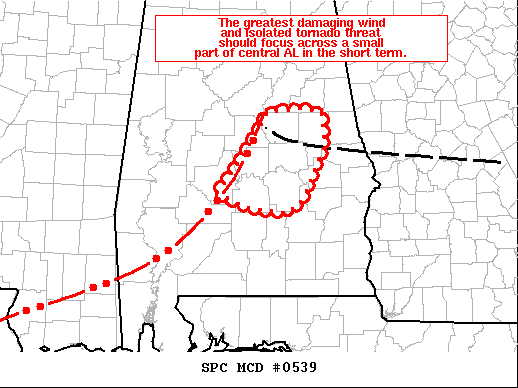 Mesoscale Discussion 539