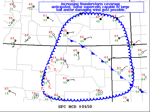 Mesoscale Discussion 650