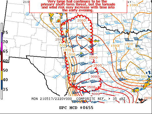 Mesoscale Discussion 655