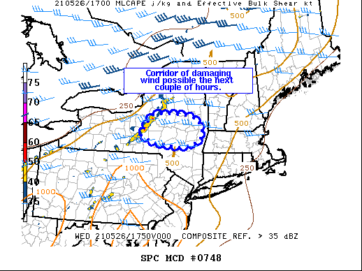 Mesoscale Discussion 748