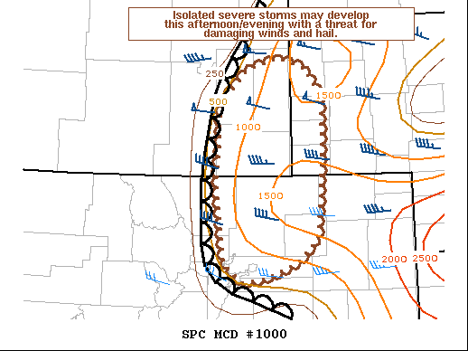 Mesoscale Discussion 1000