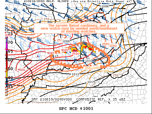 Mesoscale Discussion 1001