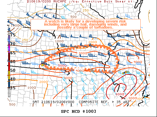 Mesoscale Discussion 1003