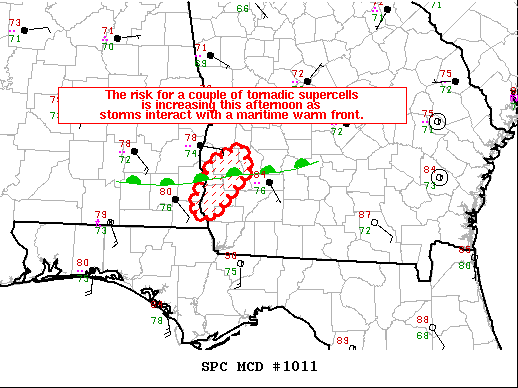 Mesoscale Discussion 1011