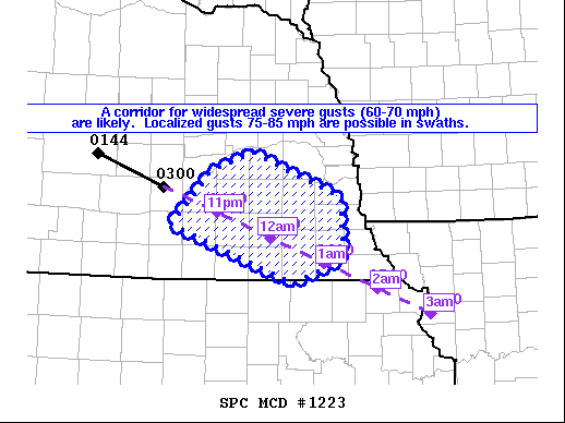 Mesoscale Discussion 1223