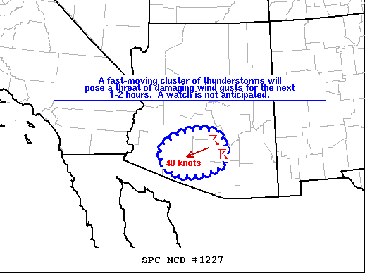 Mesoscale Discussion 1227