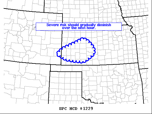 Mesoscale Discussion 1229