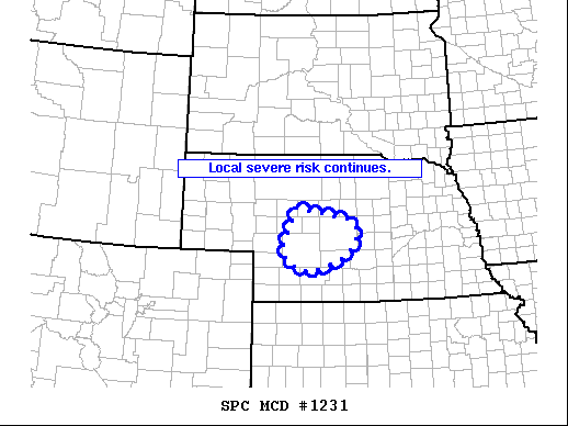 Mesoscale Discussion 1231