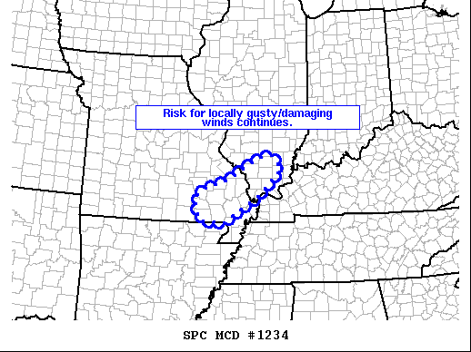 Mesoscale Discussion 1234