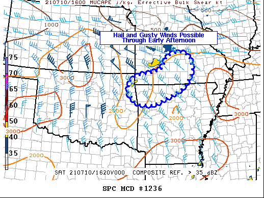 Mesoscale Discussion 1236
