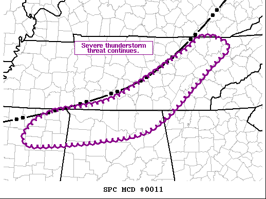 Mesoscale Discussion 11