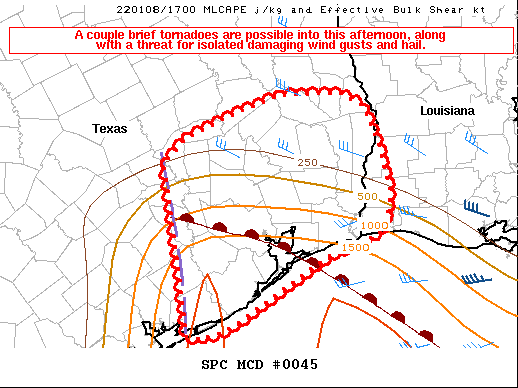 Mesoscale Discussion 45