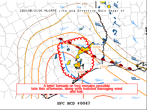 Mesoscale Discussion 47
