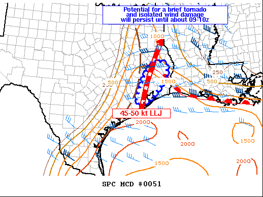 Mesoscale Discussion 51