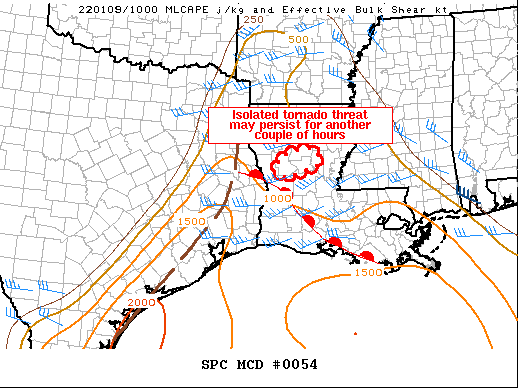 Mesoscale Discussion 54