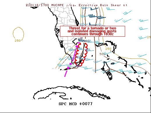 Mesoscale Discussion 77