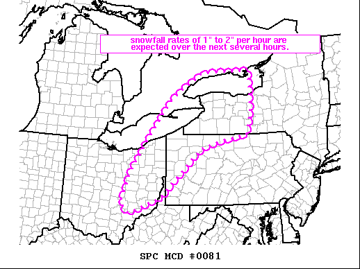 Mesoscale Discussion 81