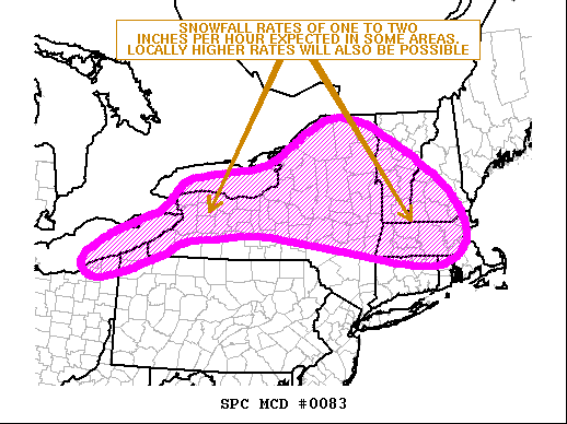 Mesoscale Discussion 83