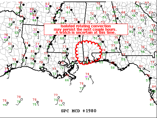 Mesoscale Discussion 1980