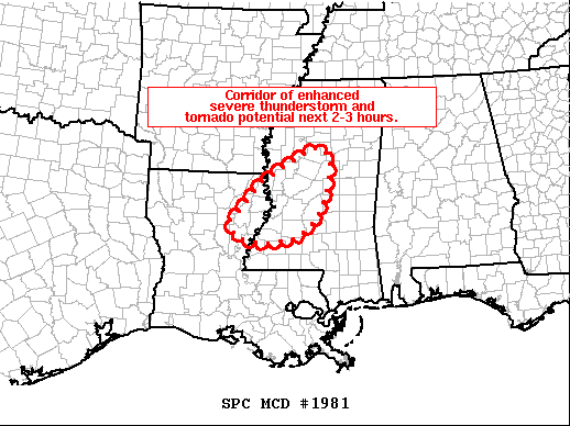 Mesoscale Discussion 1981