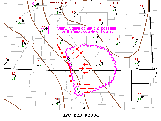 Mesoscale Discussion 2004