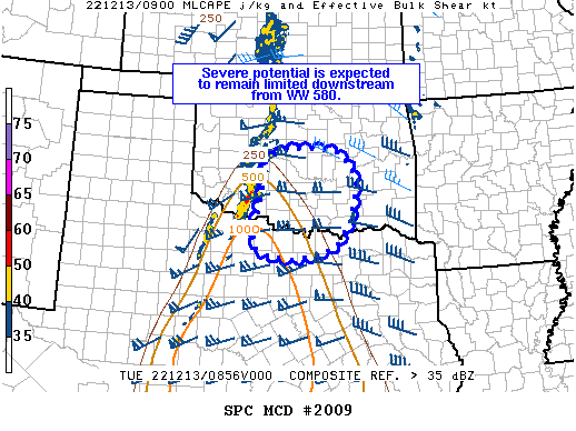 Mesoscale Discussion 2009