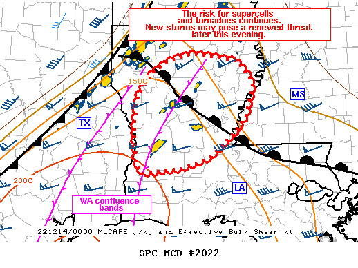 Mesoscale Discussion 2022