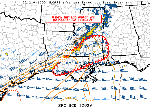 Mesoscale Discussion 2029