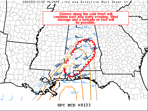 Mesoscale Discussion 123