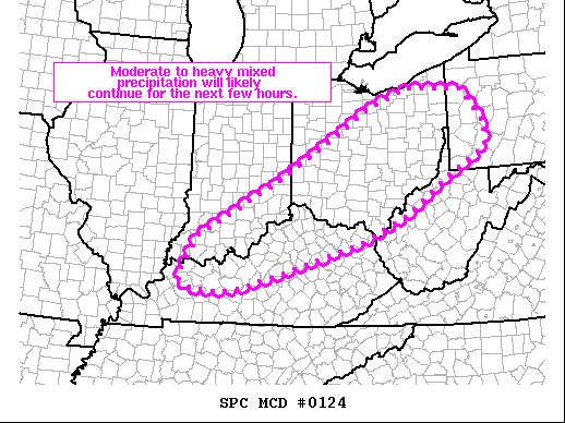 Mesoscale Discussion 124