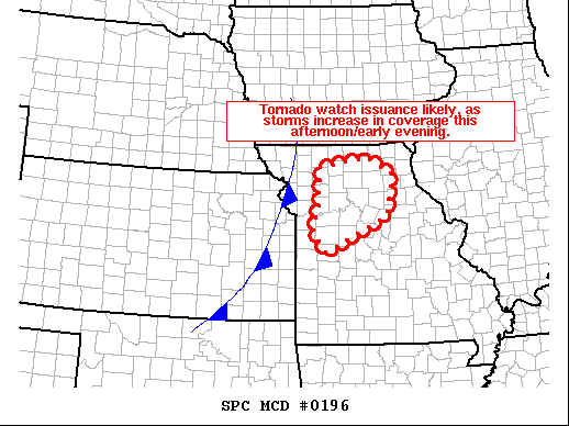 Mesoscale Discussion 196