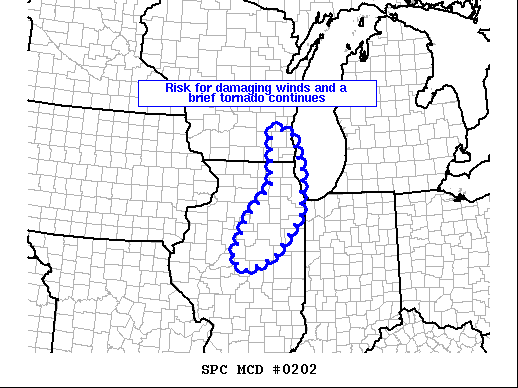 Mesoscale Discussion 202