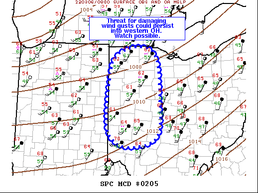 Mesoscale Discussion 205