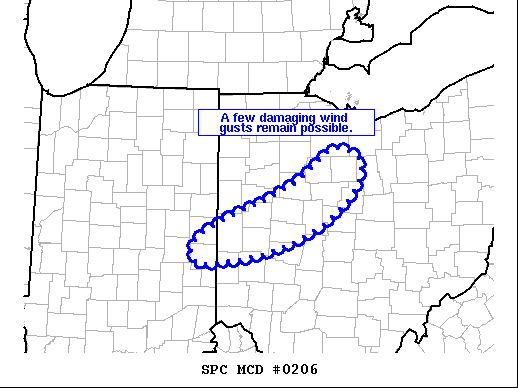 Mesoscale Discussion 206