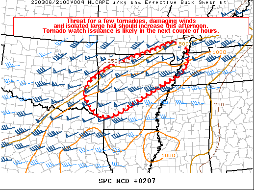 Mesoscale Discussion 207