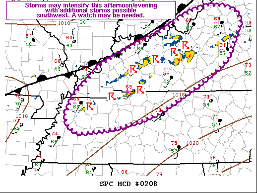 Mesoscale Discussion 208