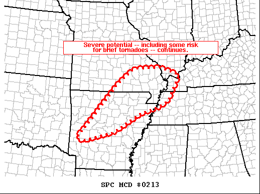 Mesoscale Discussion 213