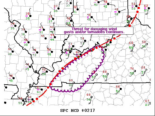Mesoscale Discussion 217