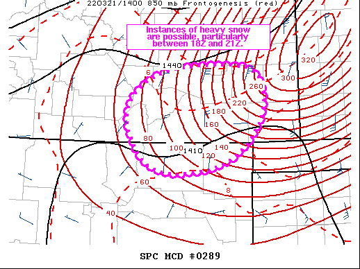 Mesoscale Discussion 289