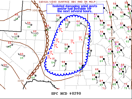 Mesoscale Discussion 290
