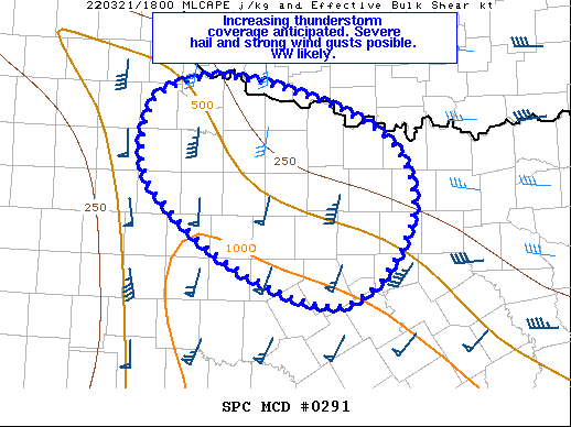Mesoscale Discussion 291