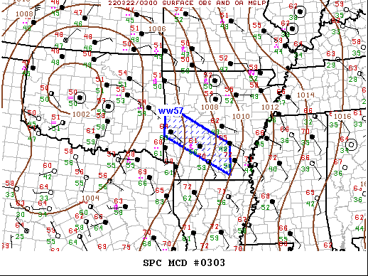 Mesoscale Discussion 303