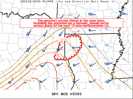 Mesoscale Discussion 305