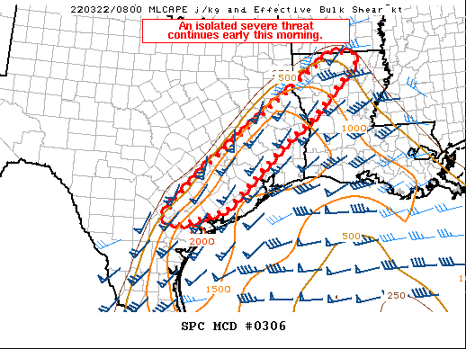 Mesoscale Discussion 306
