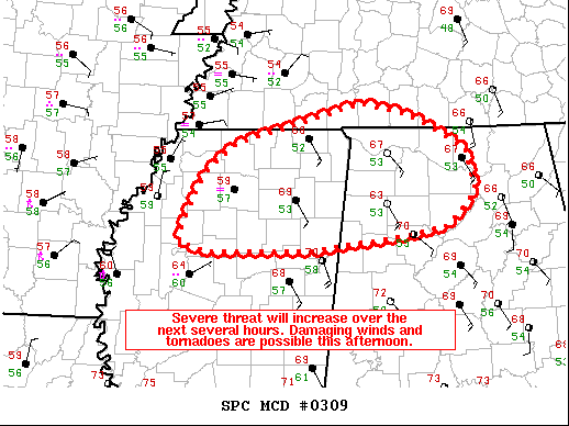 Mesoscale Discussion 309