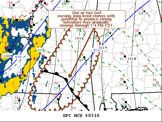 Mesoscale Discussion 310