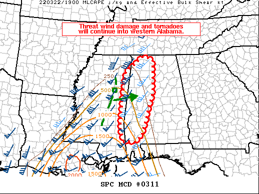 Mesoscale Discussion 311