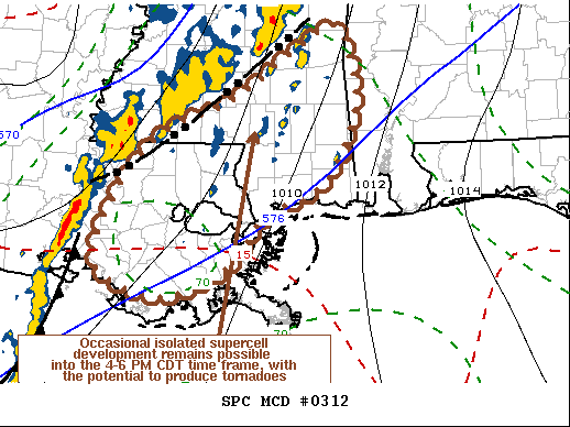 Mesoscale Discussion 312