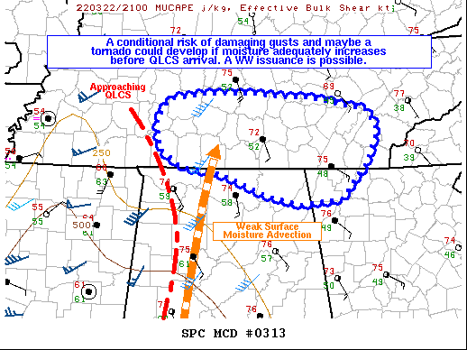 Mesoscale Discussion 313