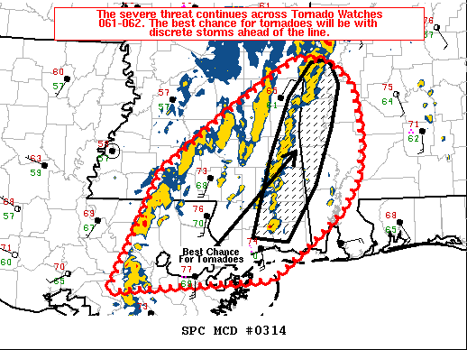Mesoscale Discussion 314